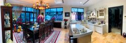 Frankel Estate (D15), Detached #477807881